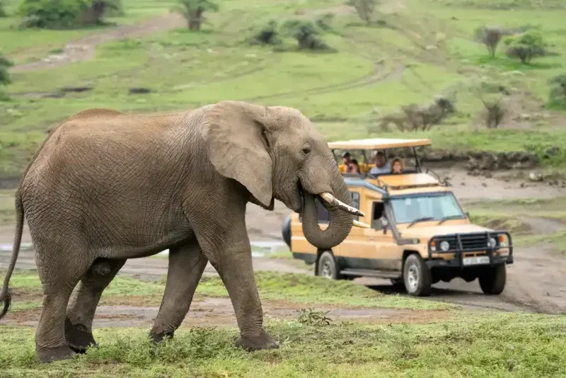 tanzania-trip